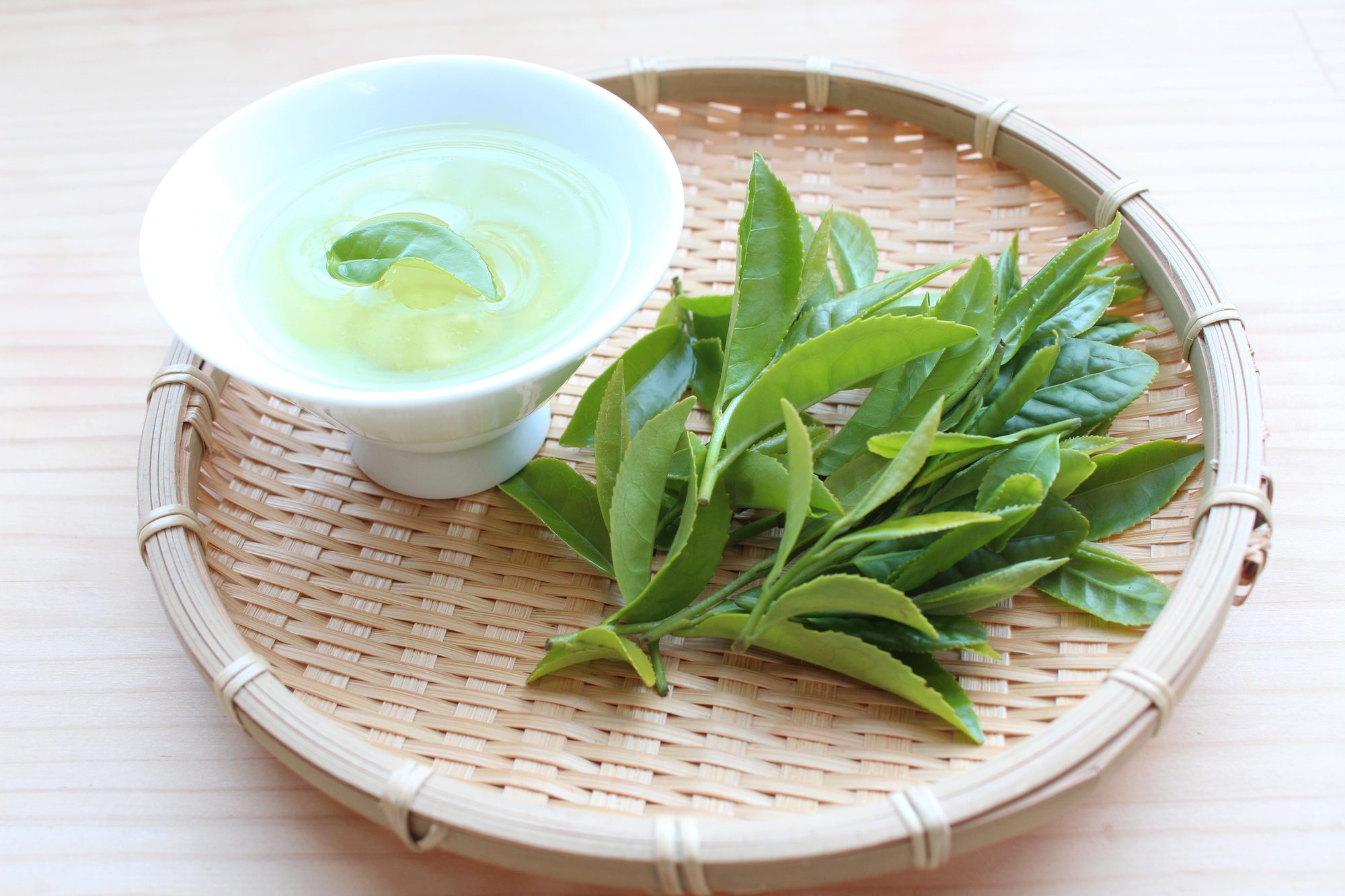 A cup of freshly brewed sencha with a young tea leaf
