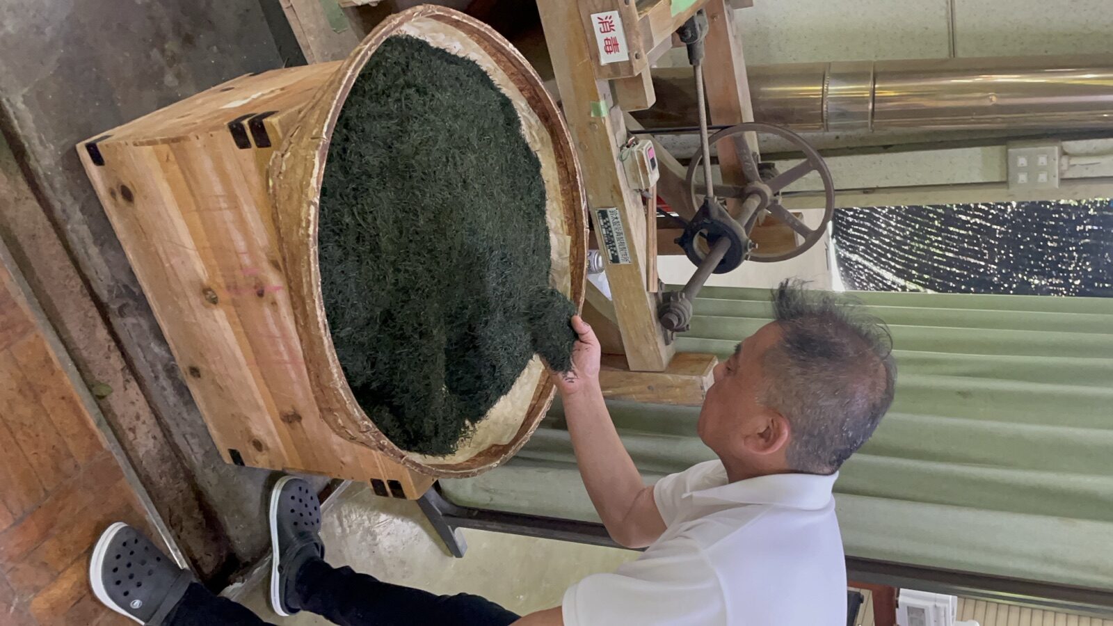 A tea master at the Kyotanabe workshop inspecting freshly kneaded gyokuro leaves