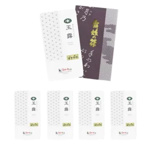 First Sip: Gyokuro "Fugenji-Midori" Loose Leaf Tea - 5 Packs of Gyokuro Reserve: 90 Days Supply