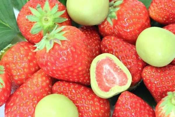 Matcha Strawberry Chocolates - Image 8