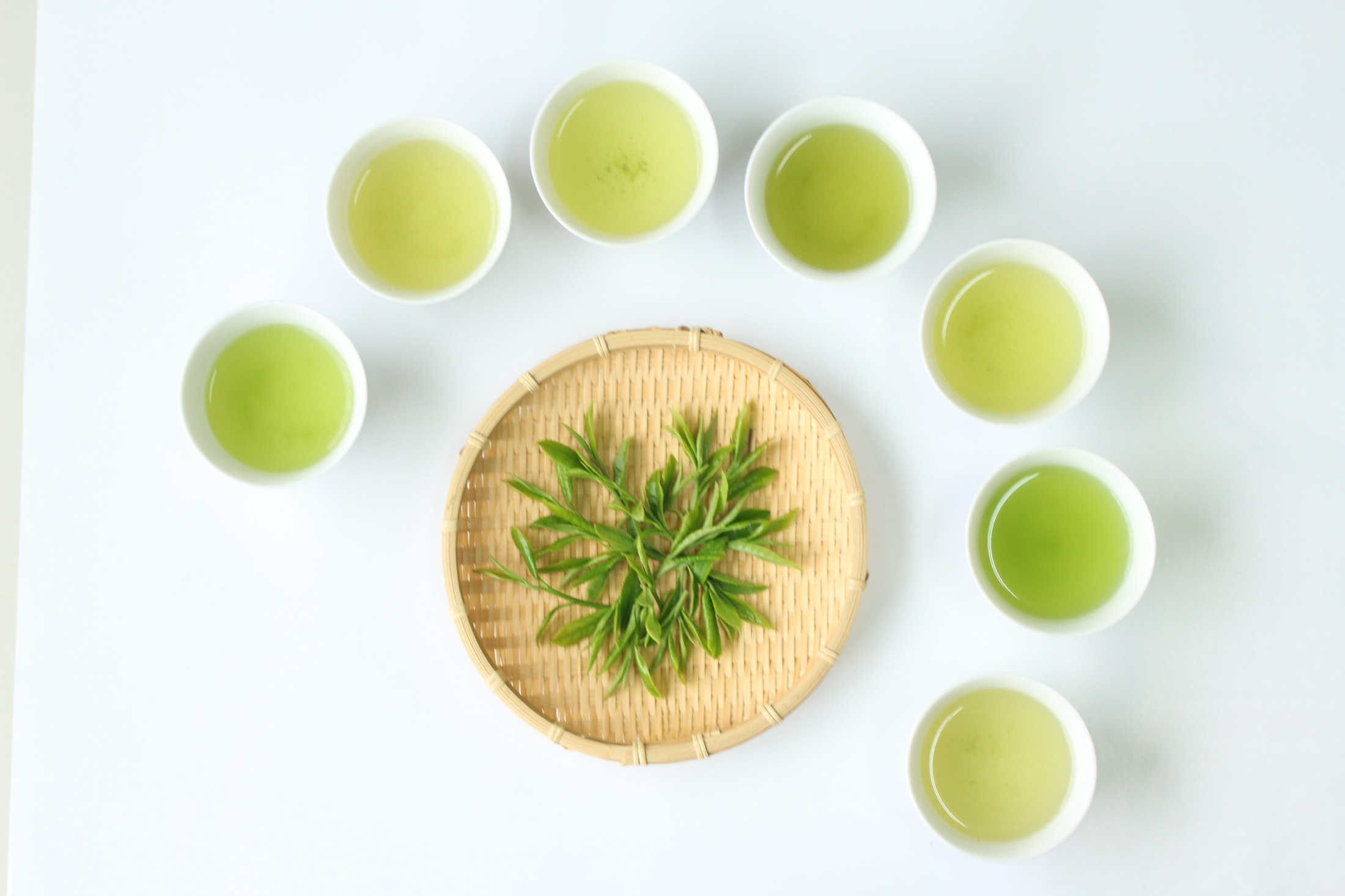 Seven cups of our teas brewed side by side